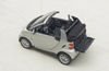 2008 Smart Fortwo Cabrio Picture